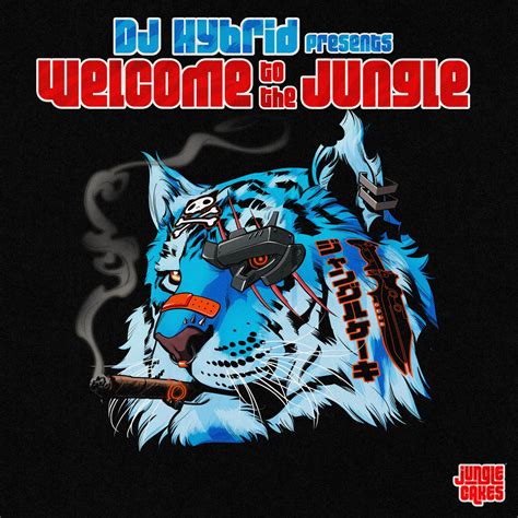 dj hybrid.